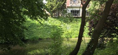 Der Teich an der Kaiservilla im Fischerglacis wird entschlammt und erhält einen neuen Aufenthaltsbereich Der Teich an der Kaiservilla im Fischerglacis wird entschlammt und erhält einen neuen Aufenthaltsbereich
